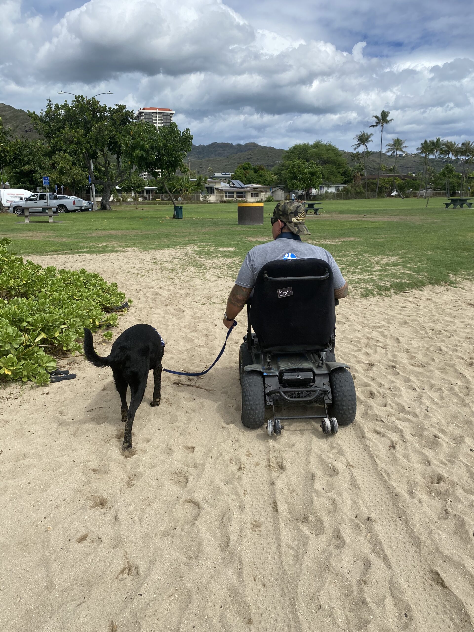 Wheelchair user walking their dog